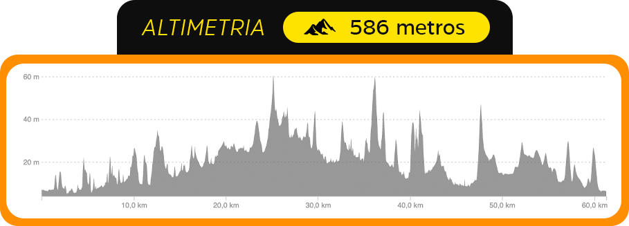 Altimetria 60km